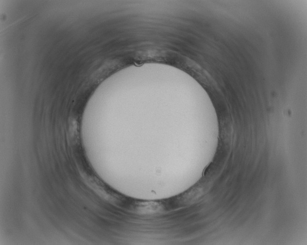 X0000080710087200701051020