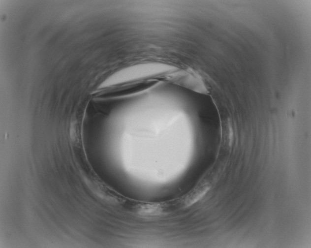 X0000080710088200701051020