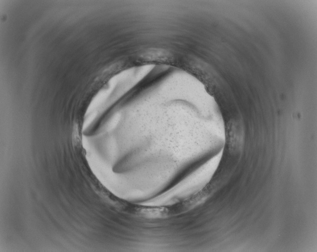 X0000080710089200701051020