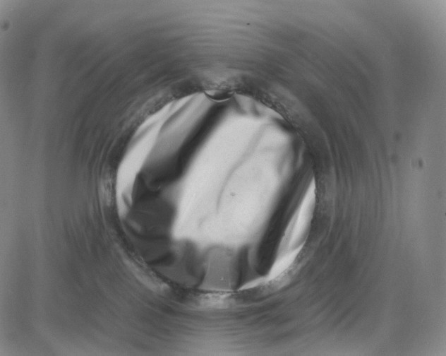 X0000080710090200701051020