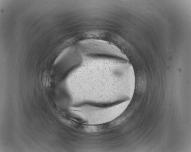 X0000080710091200701051020