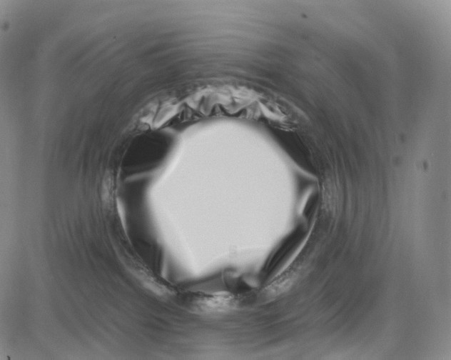 X0000080710092200701051020