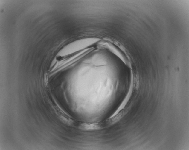 X0000080710093200701051020