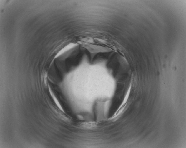 X0000080710094200701051020