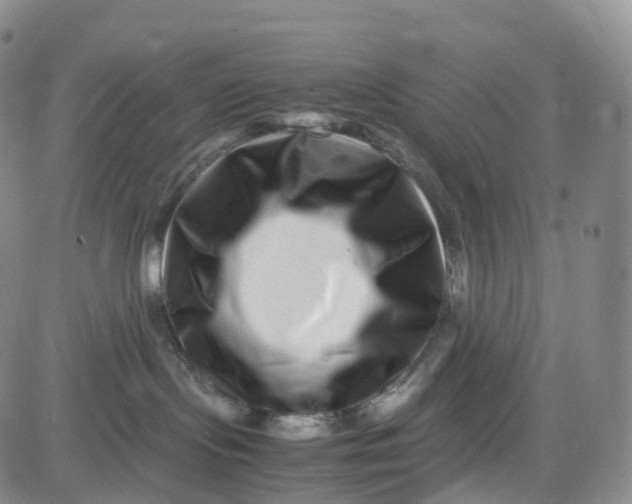 X0000080710095200701051020