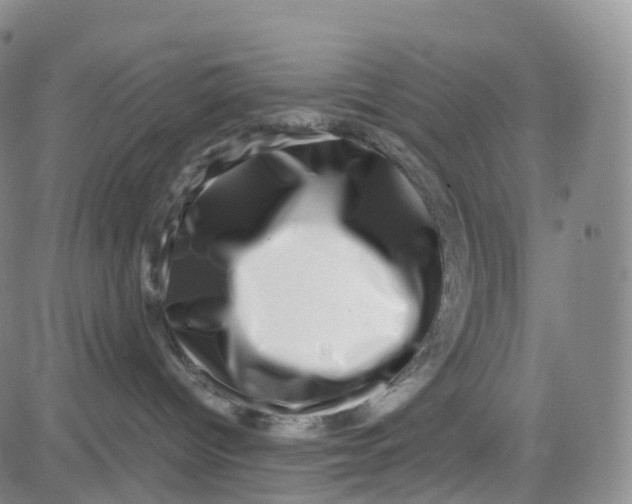 X0000080710096200701051020