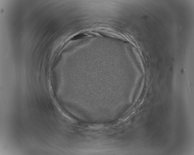 X0000080710097200701051019