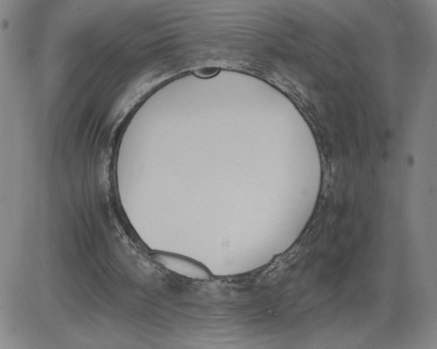 X0000080710098200701051019