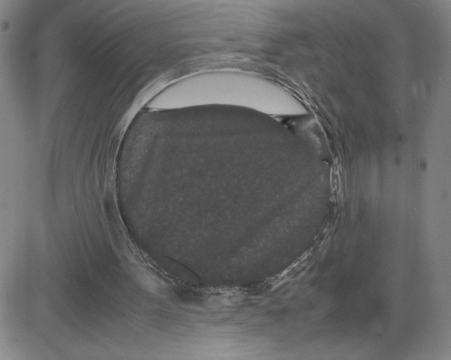 X0000080710099200701051019