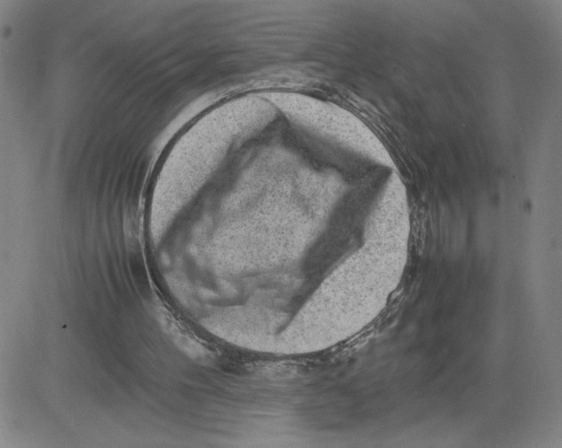 X0000080710100200701051019