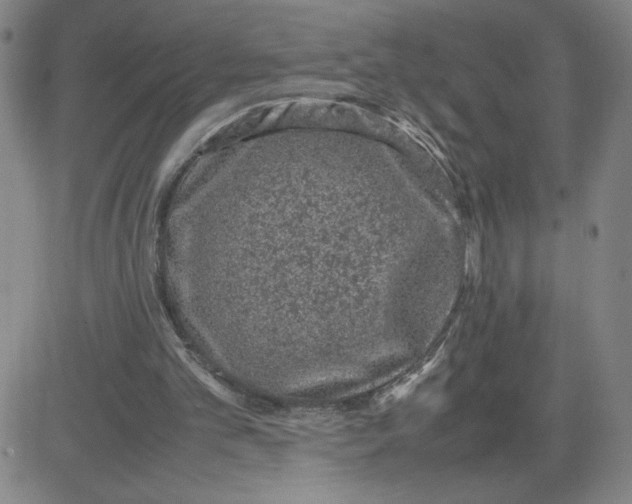 X0000080710101200701051019