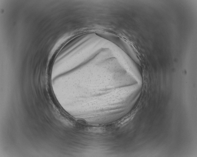 X0000080710102200701051019