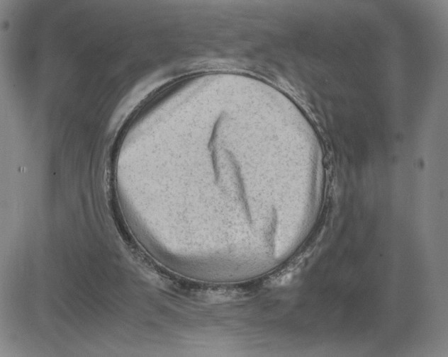 X0000080710103200701051019