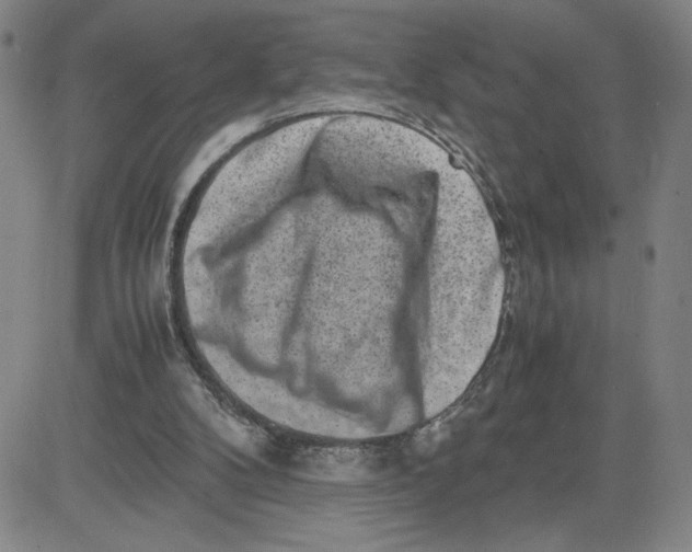 X0000080710104200701051019