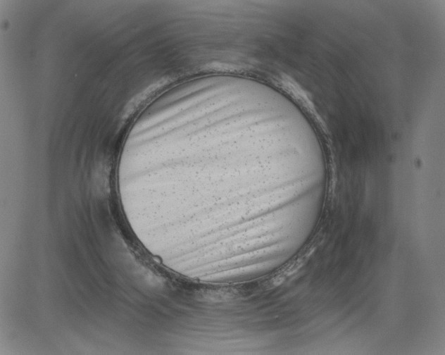 X0000080710106200701051019