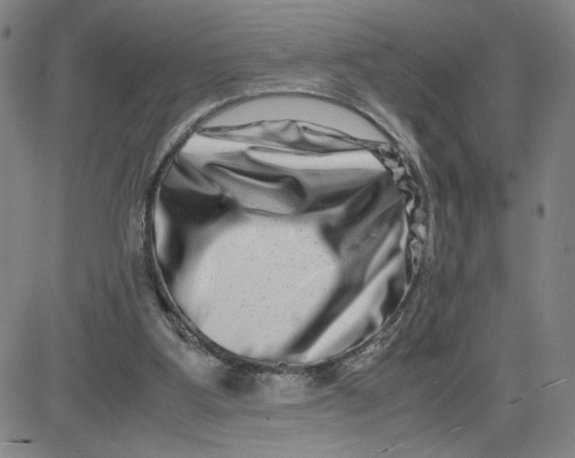 X0000080710107200701051019