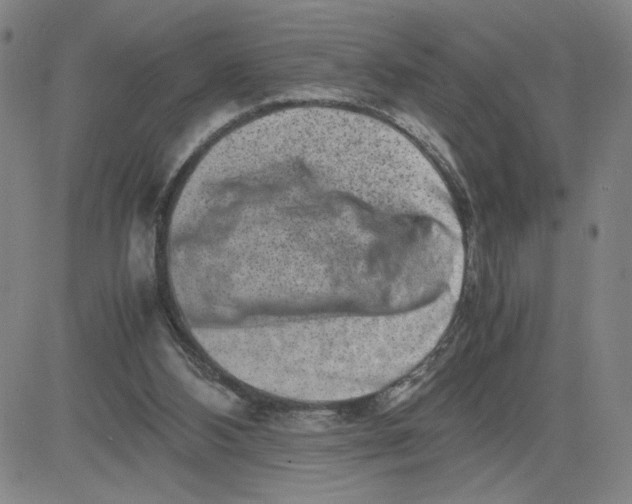 X0000080710108200701051019