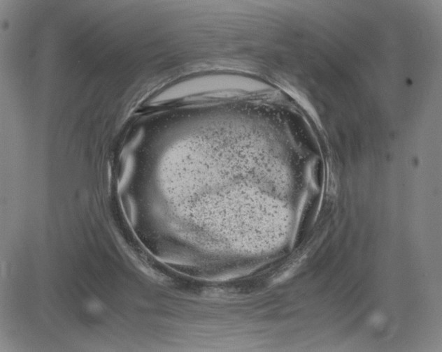 X0000080710109200701051019