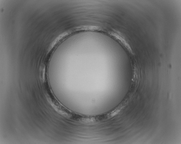 X0000080710110200701051019