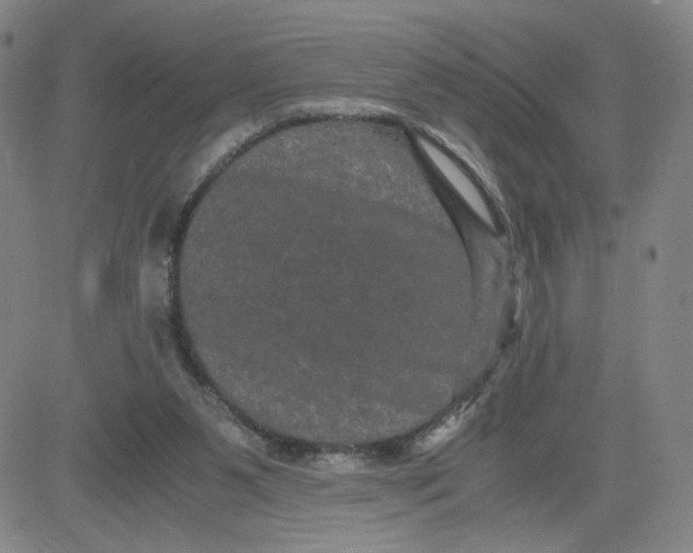 X0000080710111200701051019