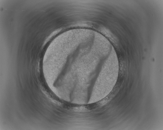 X0000080710112200701051019