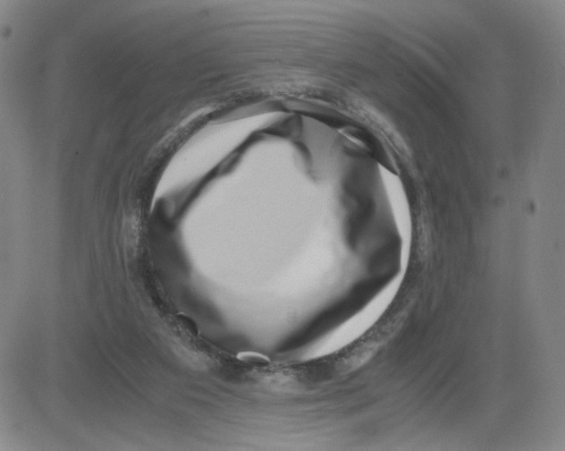 X0000080710113200701051019