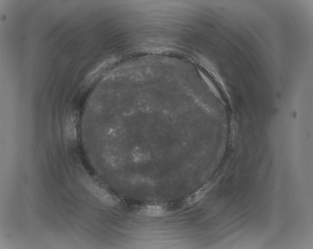 X0000080710114200701051019