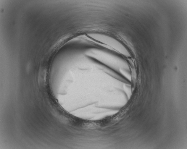 X0000080710115200701051019