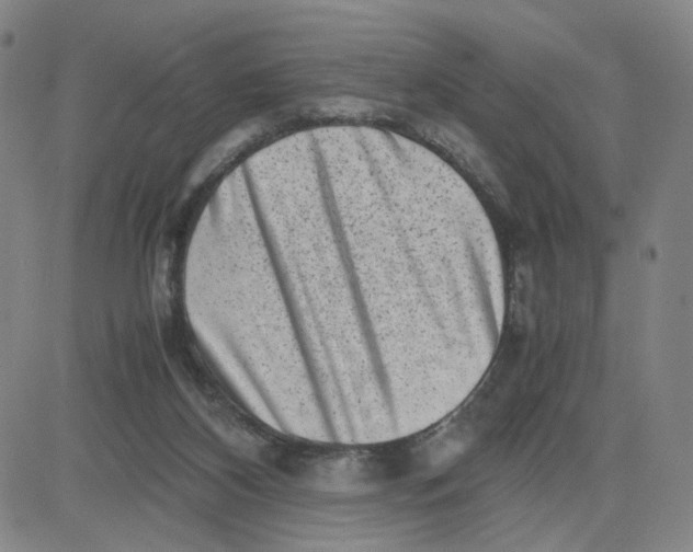 X0000080710116200701051019