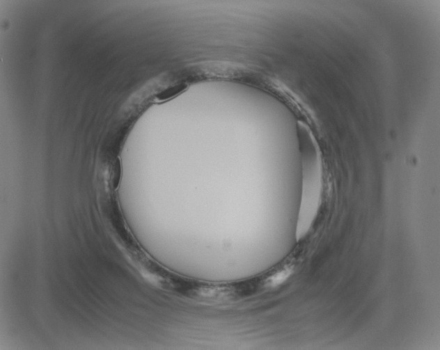 X0000080710117200701051019