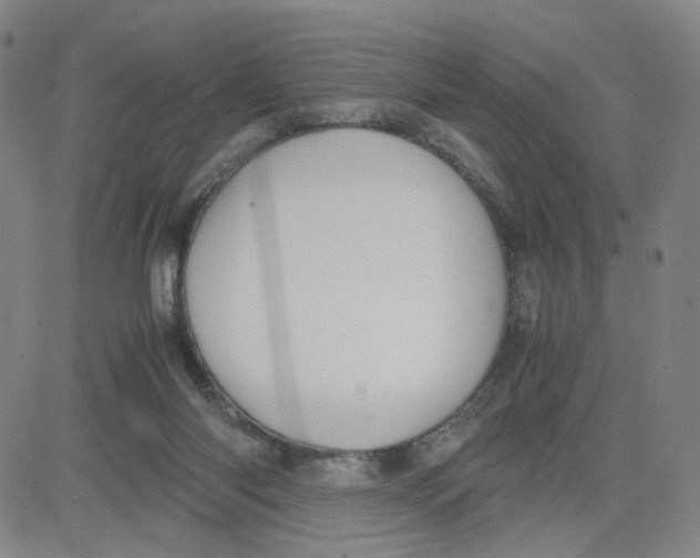 X0000080710118200701051019