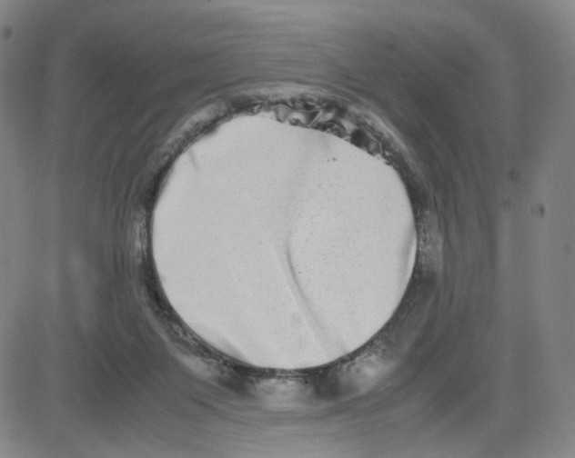 X0000080710119200701051019