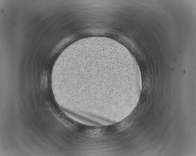 X0000080710120200701051019