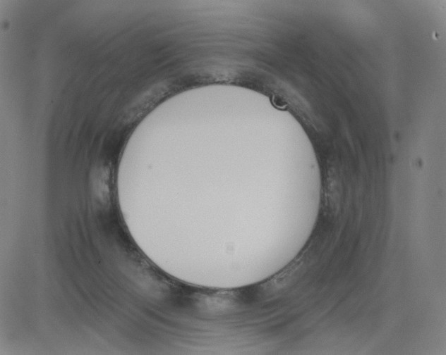 X0000080710122200701051019