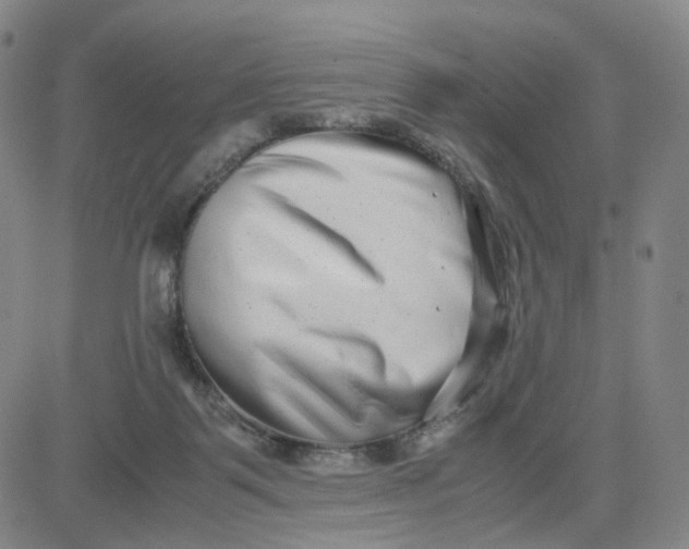 X0000080710123200701051019