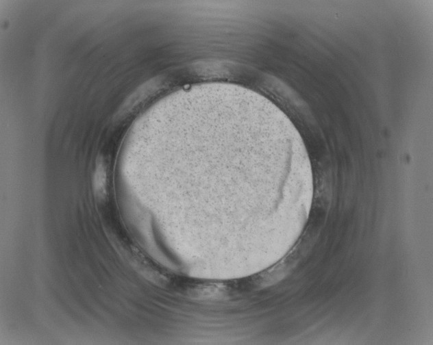 X0000080710124200701051019