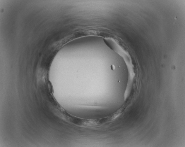 X0000080710125200701051019