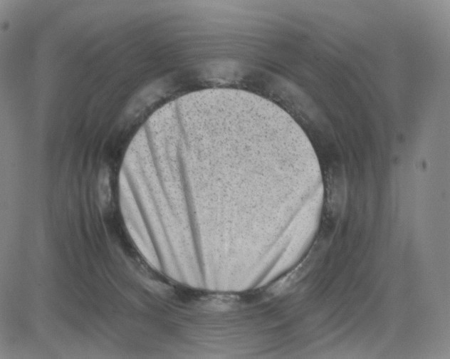 X0000080710128200701051019