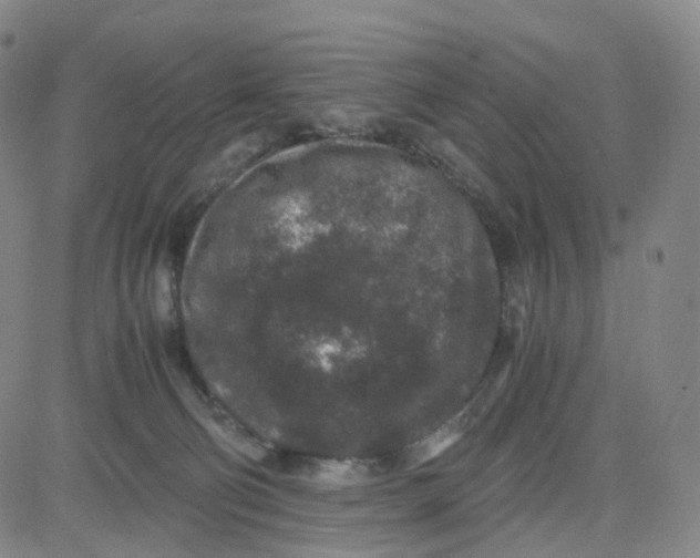 X0000080710130200701051019