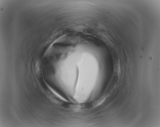 X0000080710131200701051019