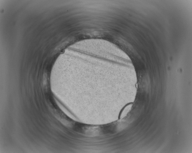 X0000080710132200701051019