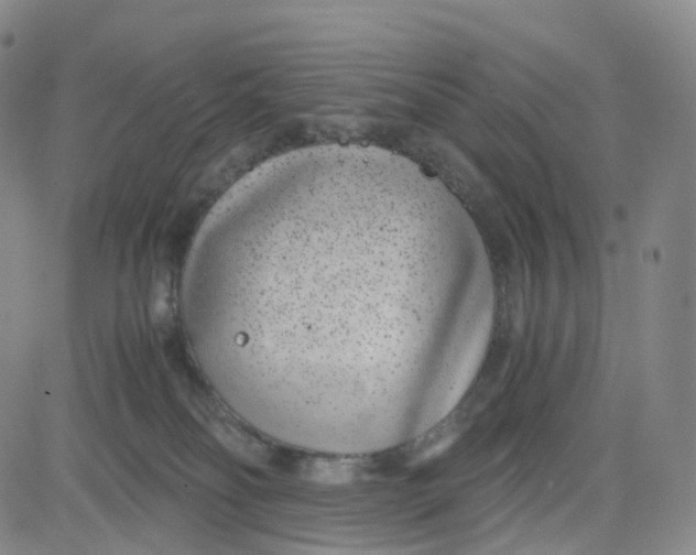 X0000080710134200701051019