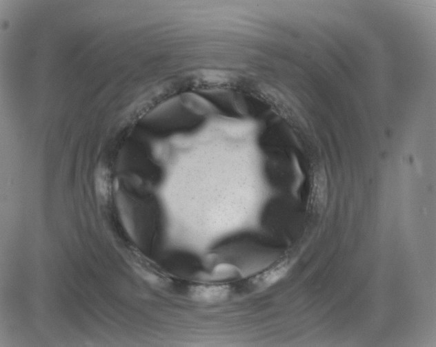 X0000080710135200701051019