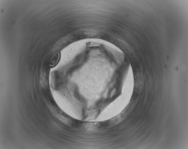 X0000080710136200701051019