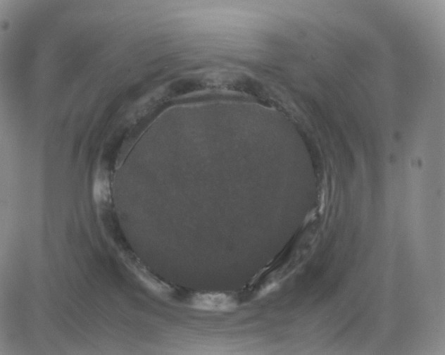 X0000080710137200701051019