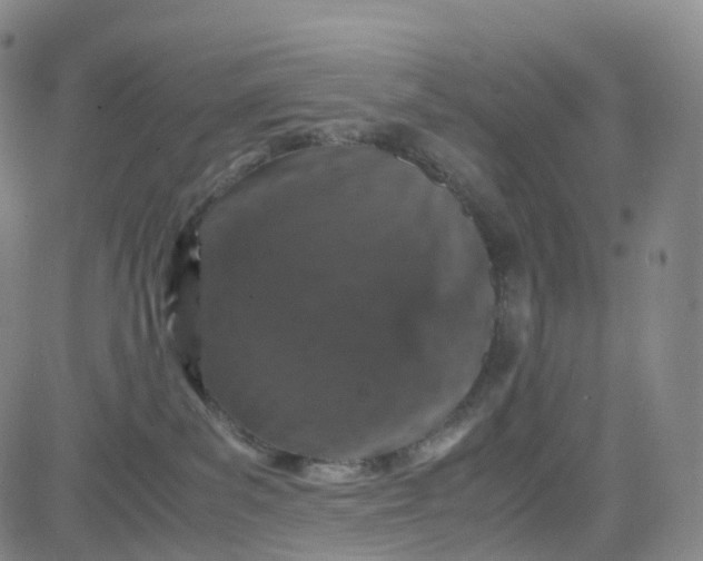 X0000080710139200701051019