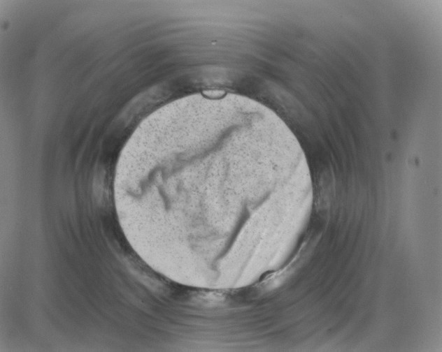 X0000080710140200701051019