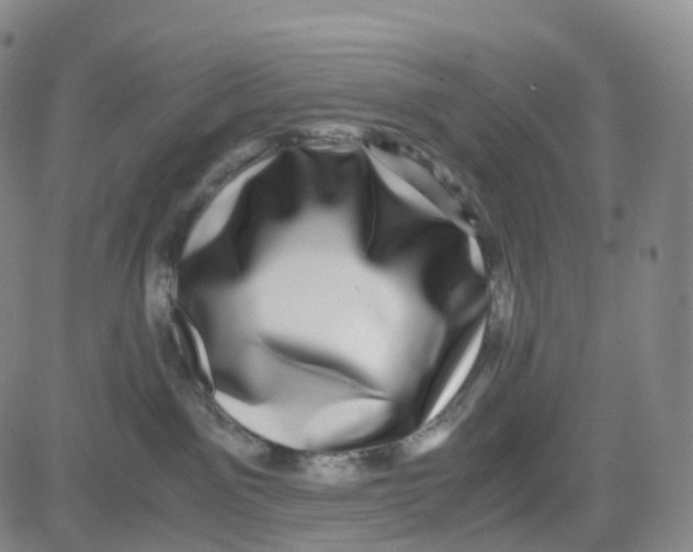 X0000080710141200701051019