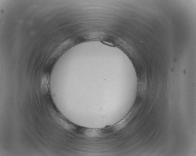 X0000080710142200701051019