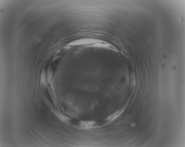 X0000080710143200701051019